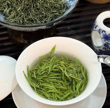 Xinyang Maojian green tea leaves