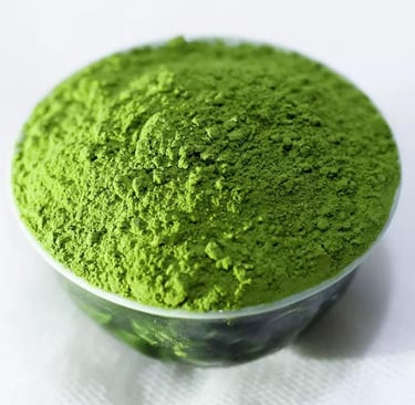 Xinyang Maojian green tea leaves