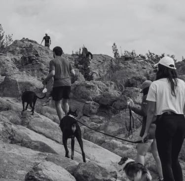 Grupo de excursionistas activos con sus perros ascendiendo por un sendero rocoso y empinado 