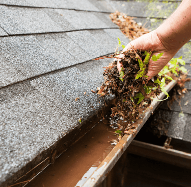 Gutter Cleaning Calderwood