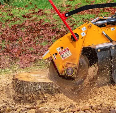 Professional Timber Removal /Stump Removal Services pic