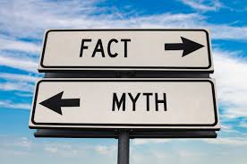 Fact And Myth board