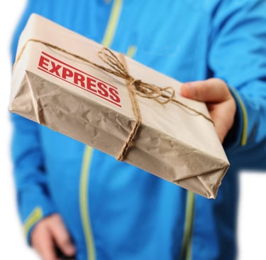 Express delivery services in Malaysia