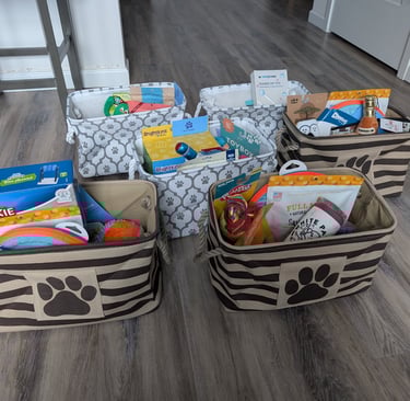 pet themed auction baskets