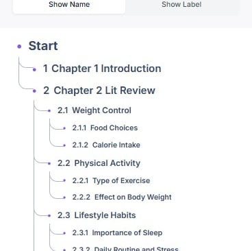 A structured academic outline of a literature review featuring chapters on weight control and physical activity.