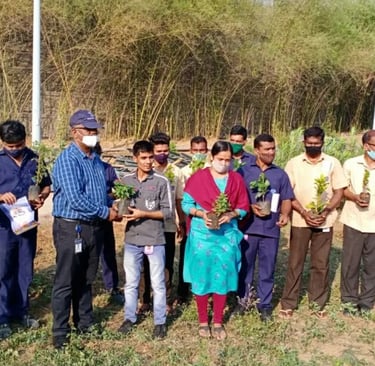 GreenBirthday celebration by Naveet Education Limited