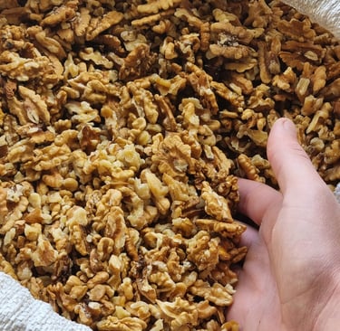 Cerneaux de noix du périgord