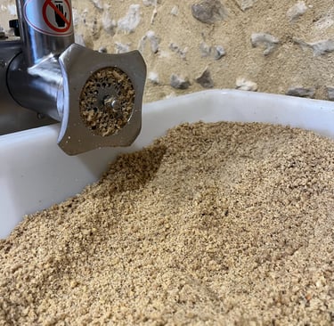 Broyage noix du périgord