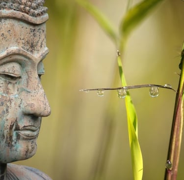 a buddha statue with a small insect on it