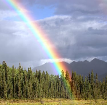 wikifaith-encyclopedia-wikipedia-wikileaks-jesus-the-god