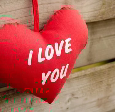 wikifaith-encyclopedia-wikipedia-wikileaks-sexuality