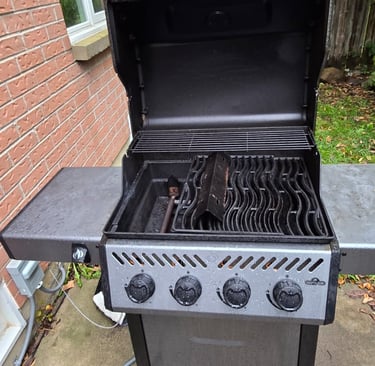 Greasy Napoleon BBQ Before Cleaning