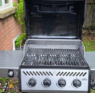 Napoleon BBQ After Cleaning