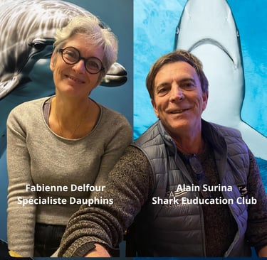 fabienne delfour alain surina battle dauphin vs requins
