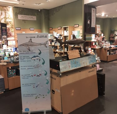 panneau la chaîne alimentaire du requin  avec Hubert le requin au magasin nature et découvertes