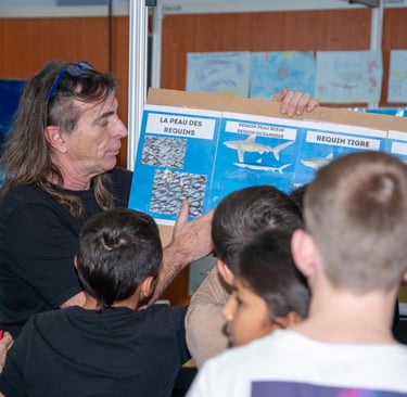 Alain Surina présentant les différentes peaux des requins