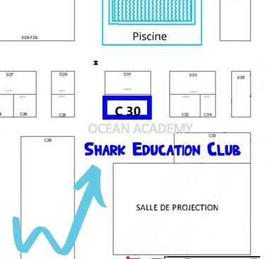 Ecole des requin au stand C30, salon de la plongée Paris 2024