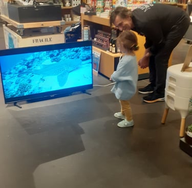 une petite fille qui regarde un requin à la télé avec alain surina