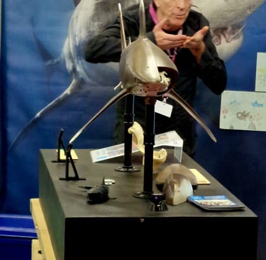 alain surina et la maquette requin Hubert