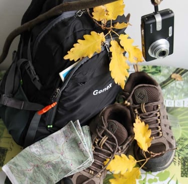 Ormulyce's hollow portrait.