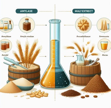 Amylase for bread making