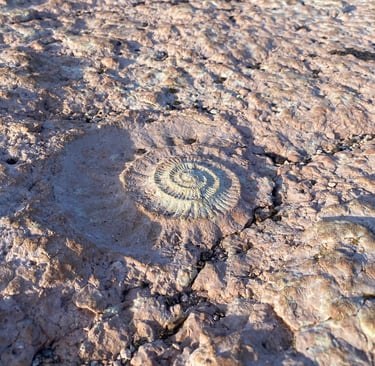 Espagne randonnée fossile