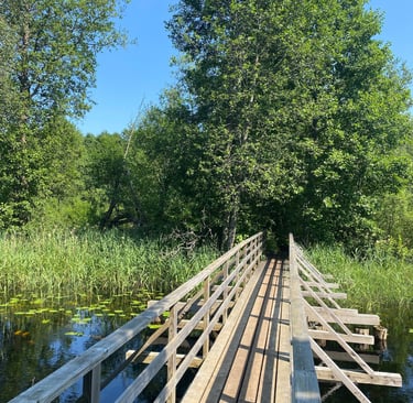 Wooden bridge other a river - Estonia