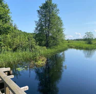 Pont en bois sur rivière - Estonie