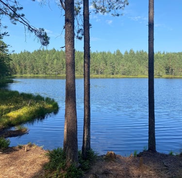 Lac - Estonie