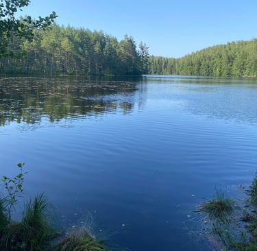 Lac - Estonie
