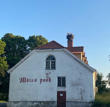 Storks in a nest on the roof of an old house - Estonia