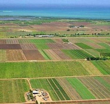Teren pentru construcții sau agricol în Strășeni