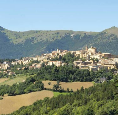 Città ducale arte cultura Marche interne