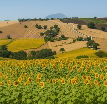 Balcone Marche vista mare Adriatico storico