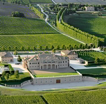 Pollenza vigneti e arte colline Marche