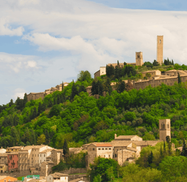 Vigneti Vernaccia e colline dolci Marche