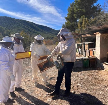 dagtour bijen imker bullas 