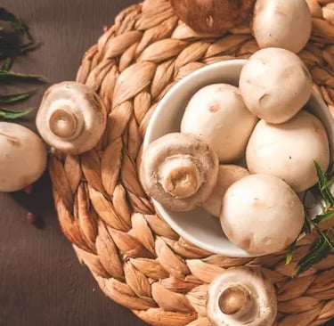 Mushroom powder, mushroom supplements, buy mushroom powder, organic mushroom powder, mushroom extract powder.