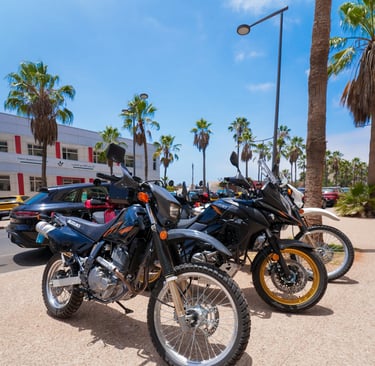surzuki dr 650