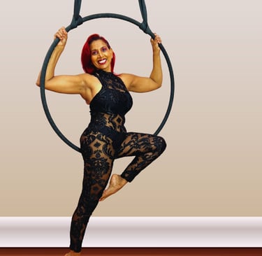 Aerial Arts and Fitness Long Island