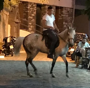 Festival du cheval sur l'île grecque de Lesbos