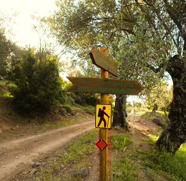 Randonnée sur l'île grecque de Lesbos