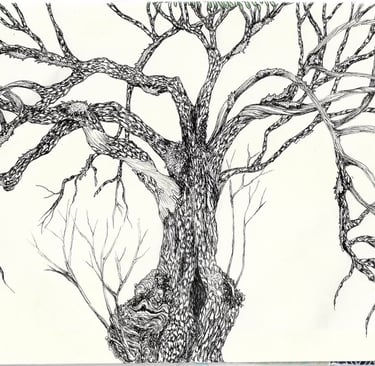 drawing by Sam Jones
