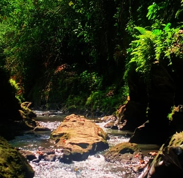 Bali Hidden Canyon