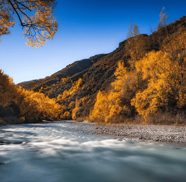 The Arrow River in Autumn