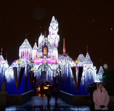 Disney Castle with winter decorations