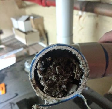 Blocked drain in Mt Eliza