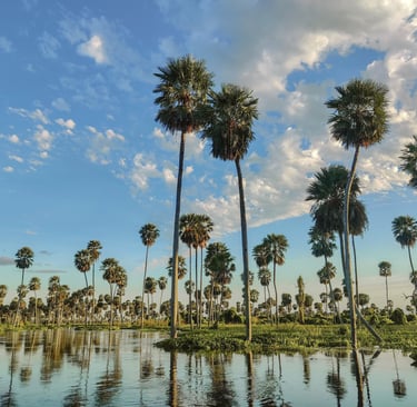 Paysage du Bañado La Estrella, habitat d’oiseaux et tourisme responsable