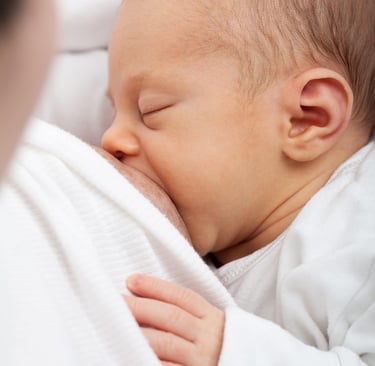 Newborn feeding essentials including baby bottles, sterilizer, and nursing pillow.