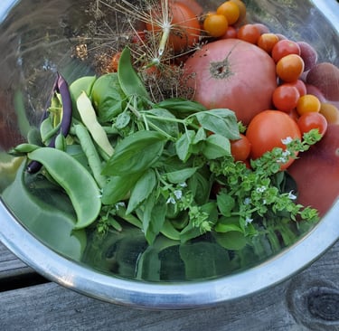 Photo of a metal bowl containing freshly picked basil, tomatoes, a few beans and snow peas, and dried dill heads